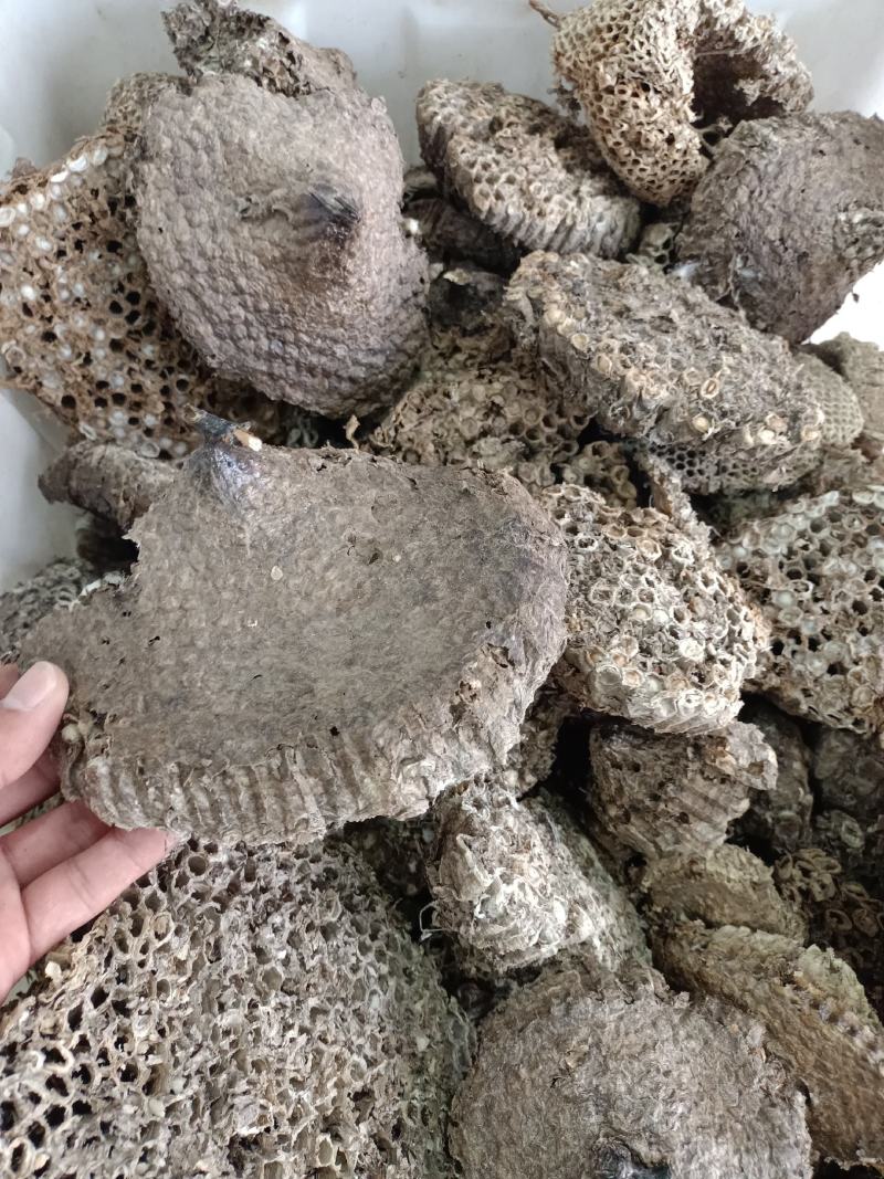 正宗家蜂房蜂窝中药材蜂房马蜂窝500克包邮