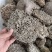 正宗家蜂房蜂窝中药材蜂房马蜂窝500克包邮
