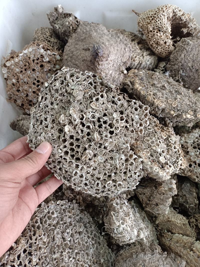 正宗家蜂房蜂窝中药材蜂房马蜂窝500克包邮