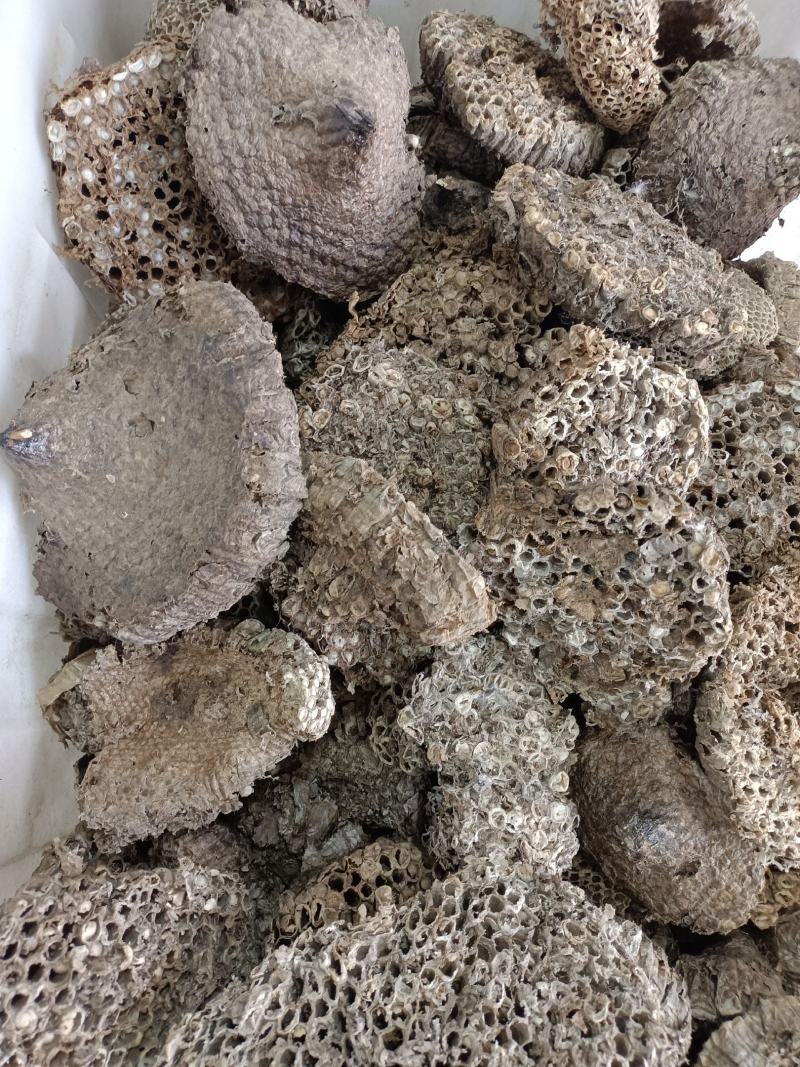 正宗家蜂房蜂窝中药材蜂房马蜂窝500克包邮
