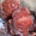 卤牛肉健子肉块子肉条子肉，江湖摊赶集展销会超市货