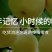 【一件代发】百草梨膏糖清凉润喉糖薄荷糖新年糖果秋梨膏包邮