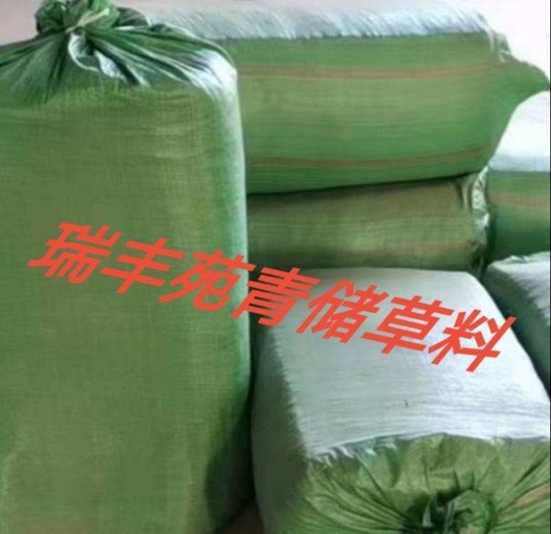 压块青储饲料牛羊畜牧草饲料优质牧草巨菌草青储草料