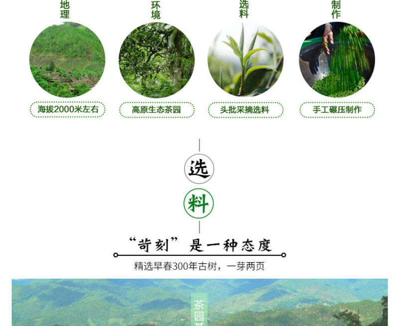 老班章普洱茶熟茶08年纯料古树茶老普洱云南七子饼茶普洱茶