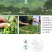 老班章普洱茶熟茶08年纯料古树茶老普洱云南七子饼茶普洱茶