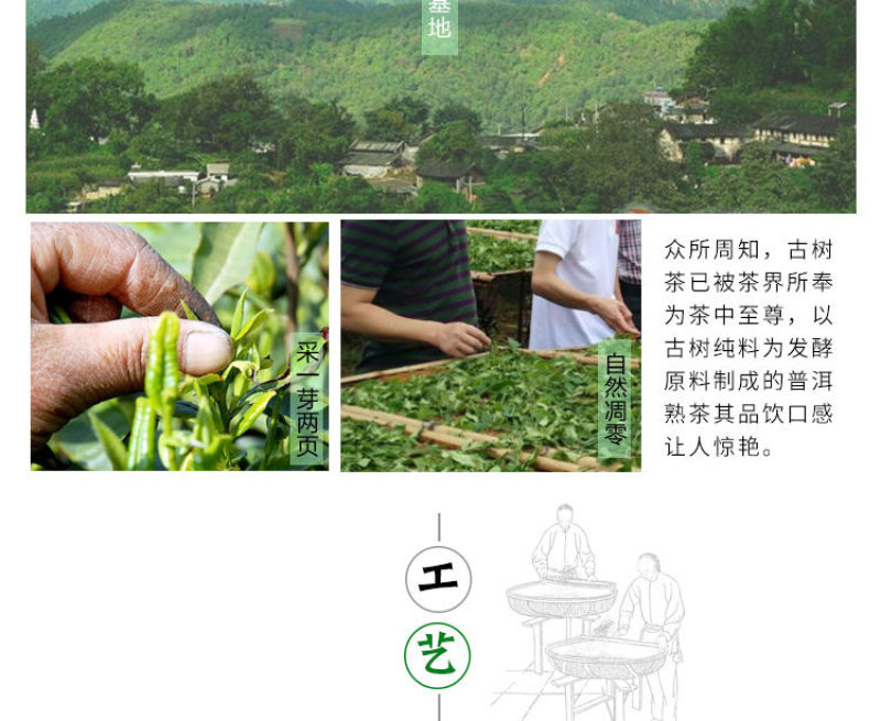 老班章普洱茶熟茶08年纯料古树茶老普洱云南七子饼茶普洱茶