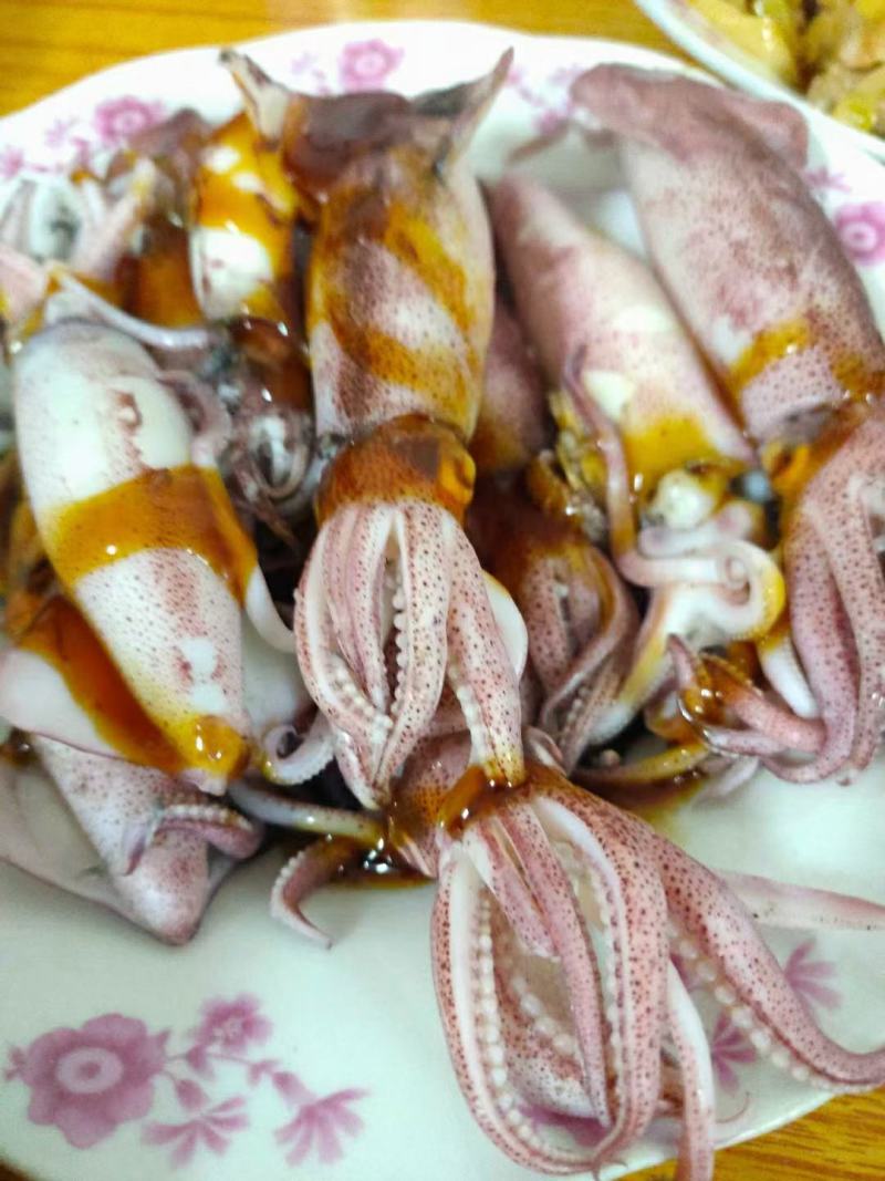 北部湾鱿鱼，当晚水鱿，托鱿，一口管