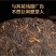 十三年老茶2007年云南勐海老普洱茶古树熟茶叶老茶勐海茶
