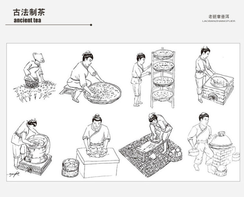 十三年老茶2007年云南勐海老普洱茶古树熟茶叶老茶勐海茶