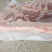 母猪带皮五花肉！带皮五花肉