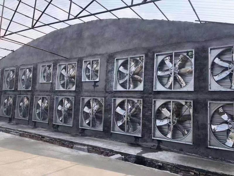 温室大棚风机排气通风换气辅助降温搅拌恒温增加空通