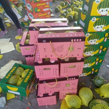 潼阳蔬果基地特小凤礼品西瓜美都西瓜大量上市中