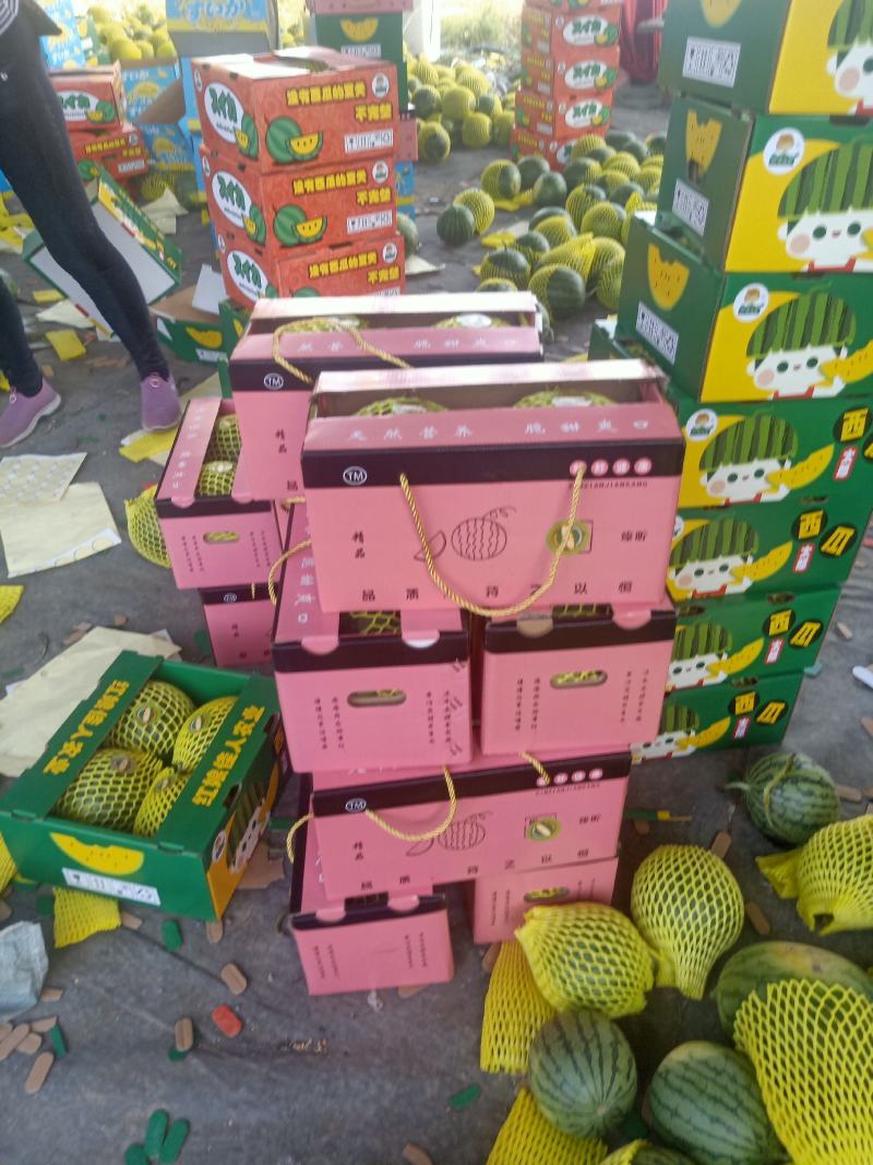 潼阳蔬果基地特小凤礼品西瓜美都西瓜大量上市中