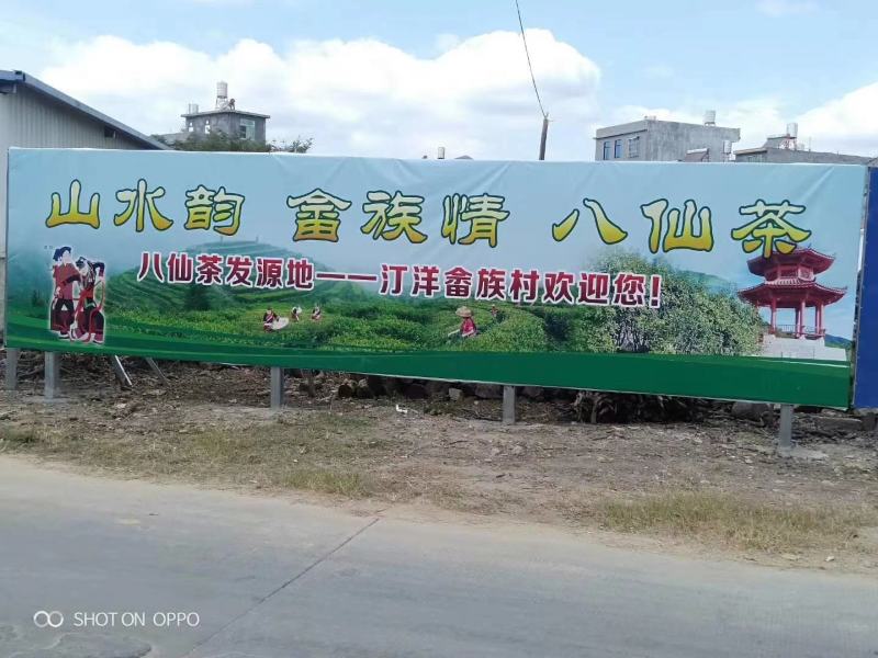 高山名茶大坪土山茶潮汕八仙茶惠来高山茶1斤诏安八仙茶
