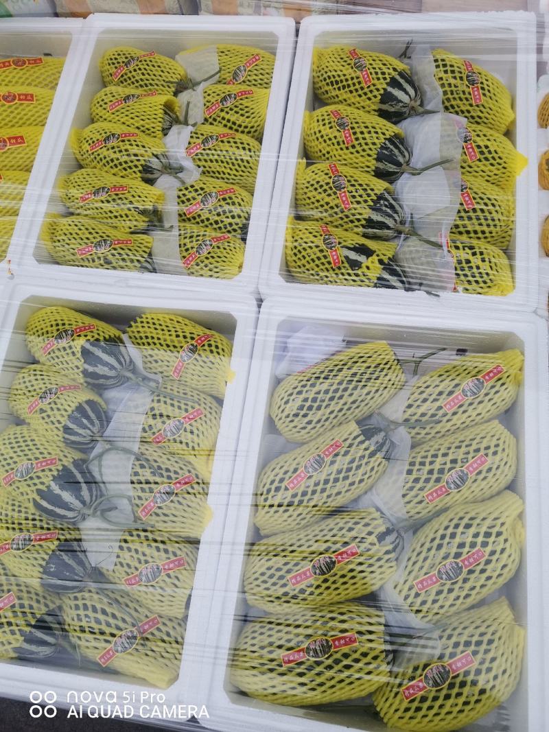 潍坊产地农产品精品博洋系列甜瓜产地直供品质有保证