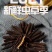 新鲜虫草新鲜冬虫夏草一件代发