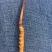 新鲜虫草新鲜冬虫夏草一件代发