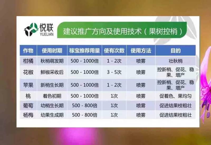 悦联10%调环酸钙红薯草莓花生控旺控稍膨果增产生长调节剂