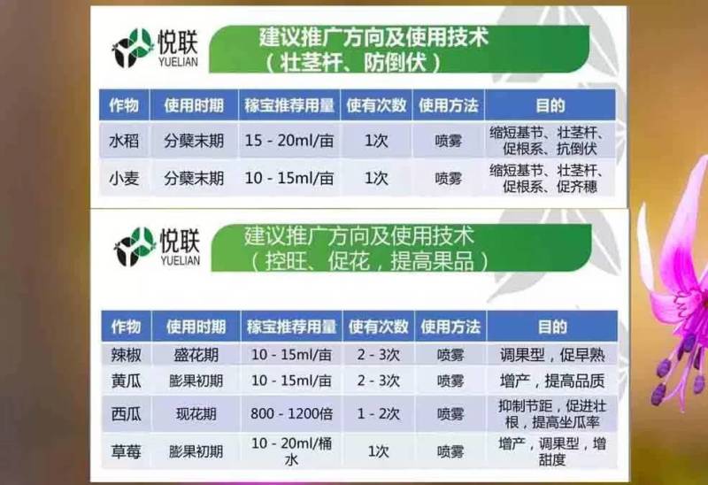 悦联10%调环酸钙红薯草莓花生控旺控稍膨果增产生长调节剂