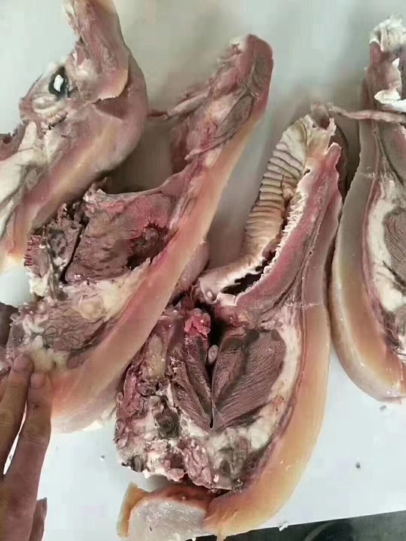 全熟牛头肉，量大从优，可做各种规格全国发货