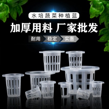 热销定植篮水培蔬菜定植杯无土栽培设备塑料固根器