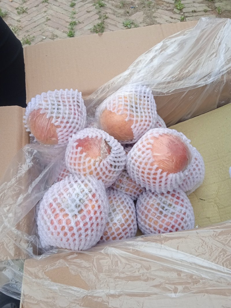 苹果大降价货原充足不闲便宜你就来