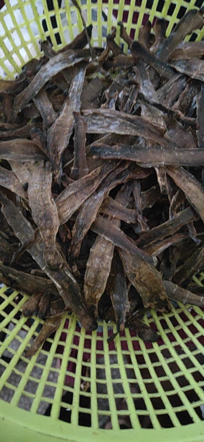 汗蚯蚓青蚯蚓黑蚯蚓做干货