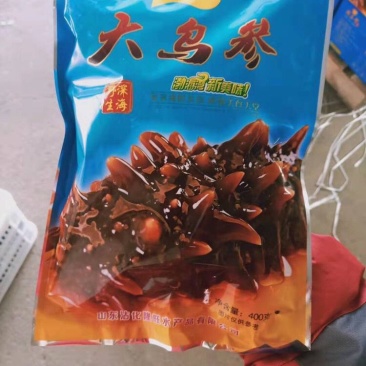 海参每包400g社区团购专用