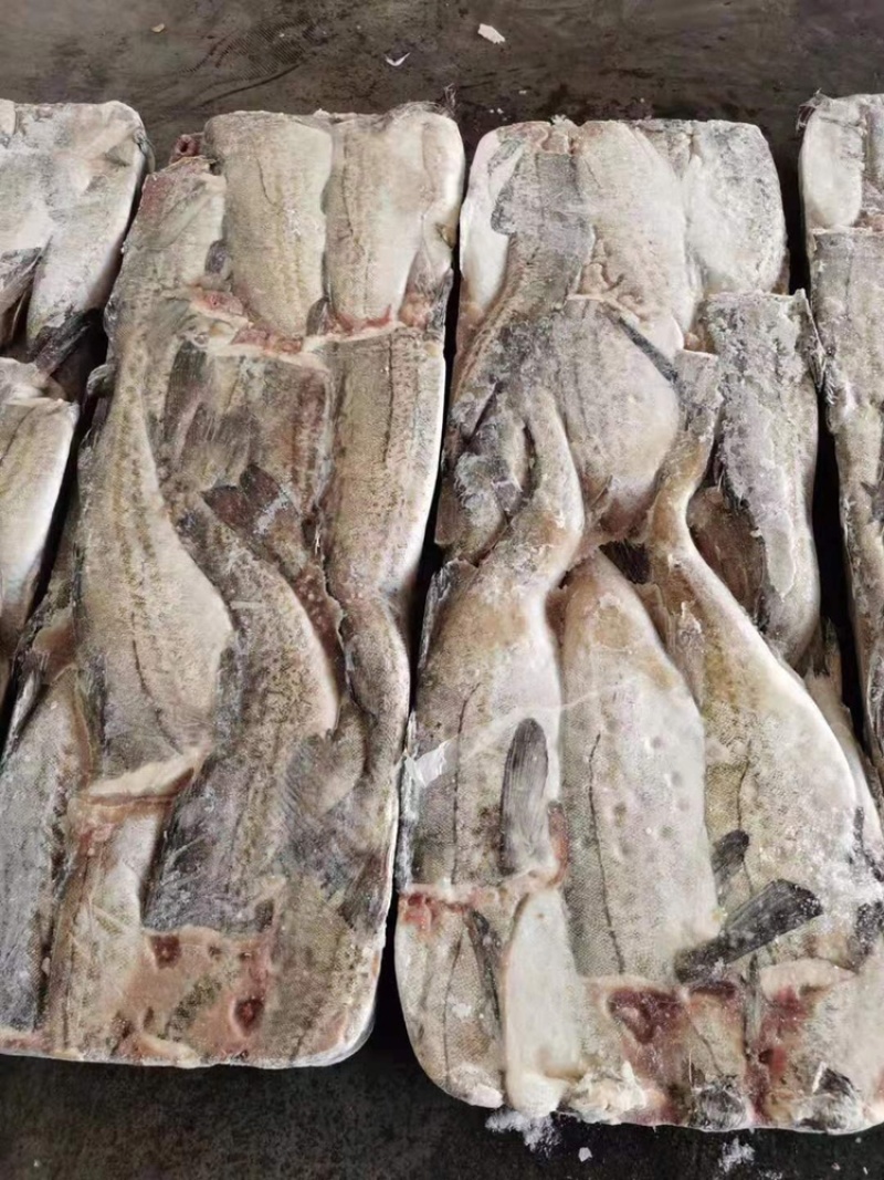 新鲜冷冻狭鳕鳕鱼明太鱼去头去内脏大量现货