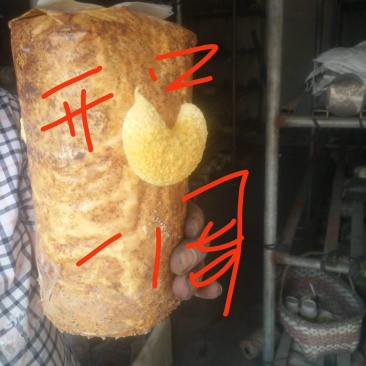 桑黄菌种（菌包）桑木屑制作的开口出黄的桑黄菌包