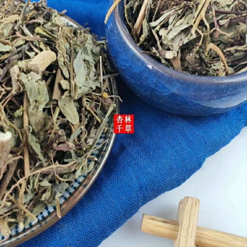 云南野生中药材叶下珠珍珠草叶下珍珠叶后珠夜合草