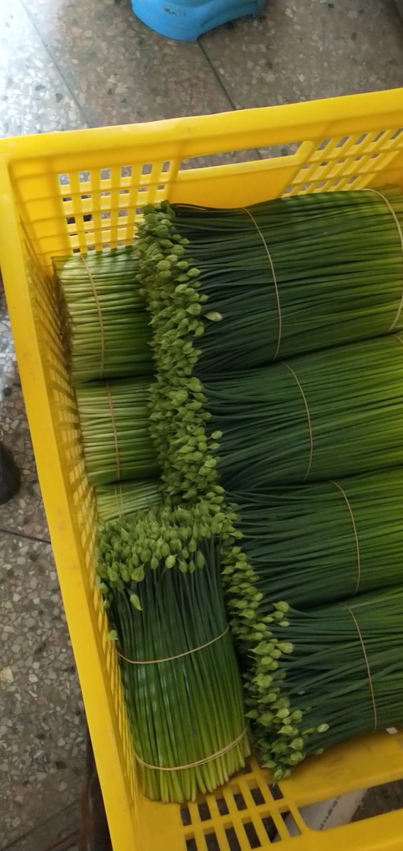 啊坚种植韭花专业合作社，产地自销韭菜花