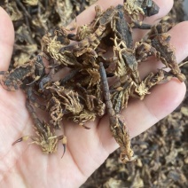 足干蝎子全蝎清水货