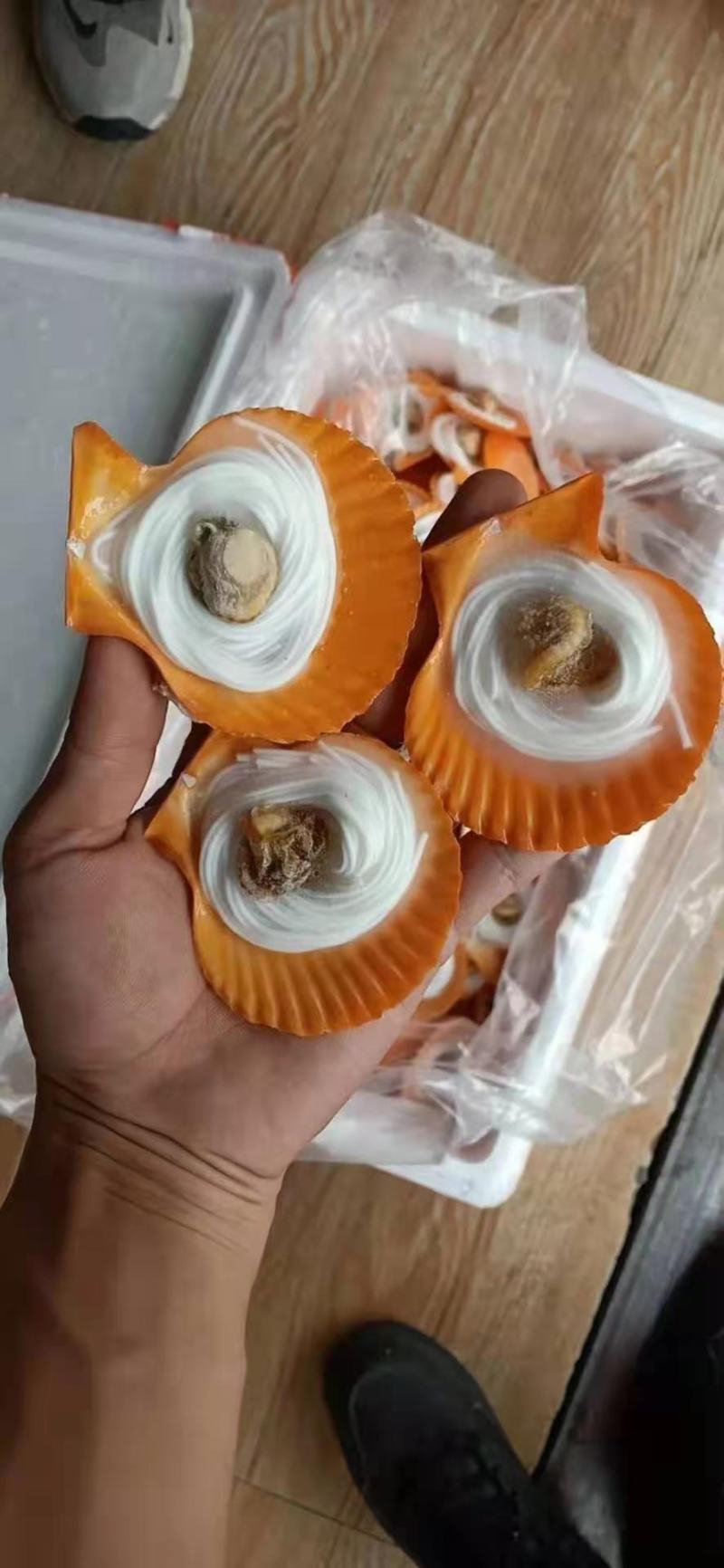 扇贝粉丝，粉丝黄金贝，200个一件，适合烧烤，自助餐等