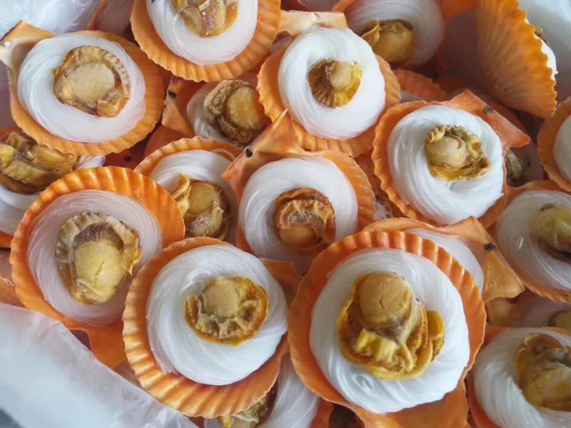 扇贝粉丝，粉丝黄金贝，200个一件，适合烧烤，自助餐等
