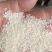 英德美香粘米，米香美味可口，家庭食品推荐，