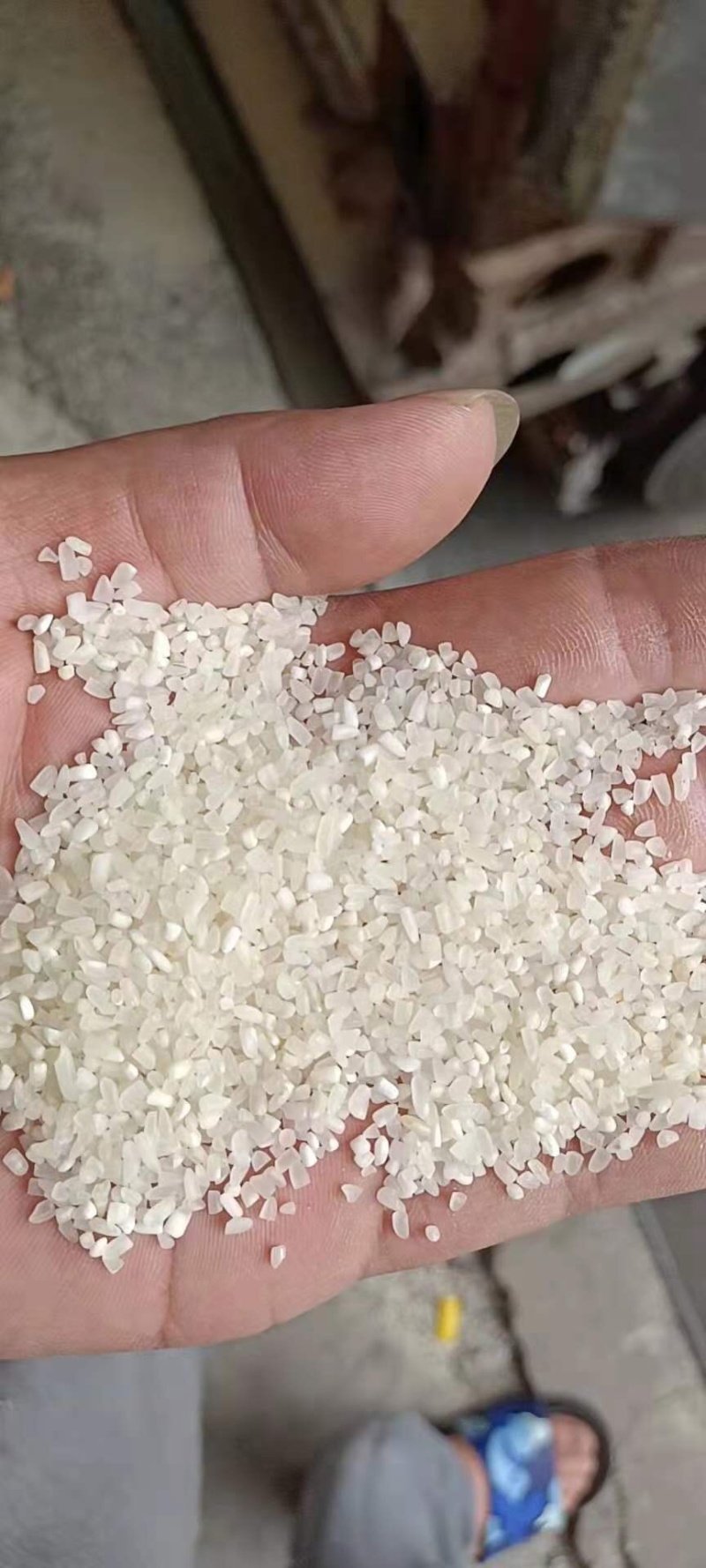 英德美香粘米，米香美味可口，家庭食品推荐，