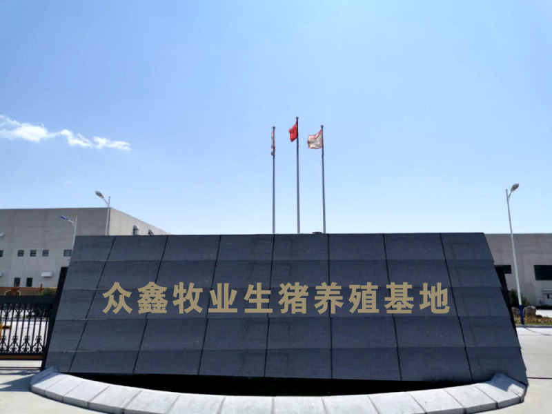 三元仔猪双脊背瘦肉型品种正大屁股长的快抗病率高耐粗粮。