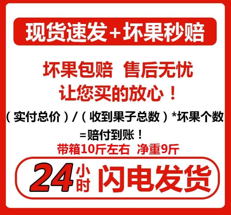 海南贵妃10斤装大果新鲜现摘芒果红金龙【一件代发】