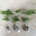 文竹盆栽盆景植物室内客厅花卉办公室桌面绿植好养四季常青大