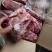 月牙骨条，月牙骨，烧烤用月牙骨，独立包装，脆骨肉
