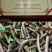无渣粉葛苗藤县和平镇粉葛之乡粉葛种苗