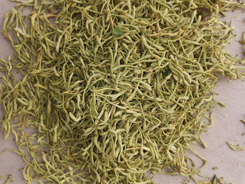 金银花，绿青货。颜色好