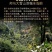 云南2010年冰岛普洱茶熟茶茶叶茶饼特级砖茶古树茶砖包邮