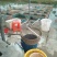 【基地直销全国送货】淡水鲳鱼苗量多从优