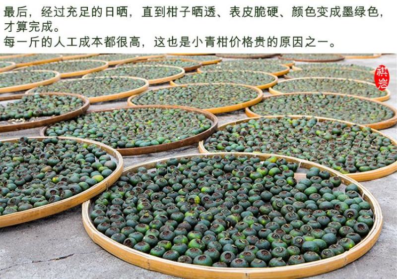 青皮新会小青柑普洱茶陈皮宫廷普洱柑普茶橘子茶桔普茶包邮