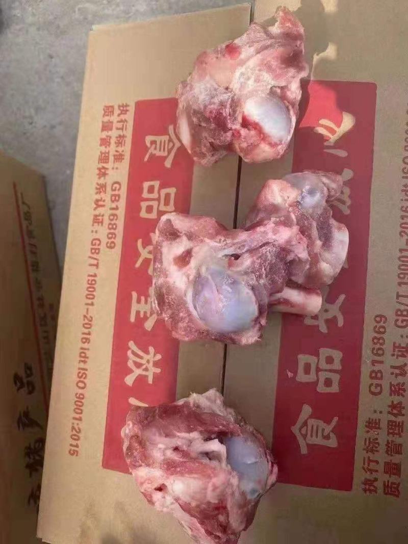 前棒骨！前棒骨！！！
