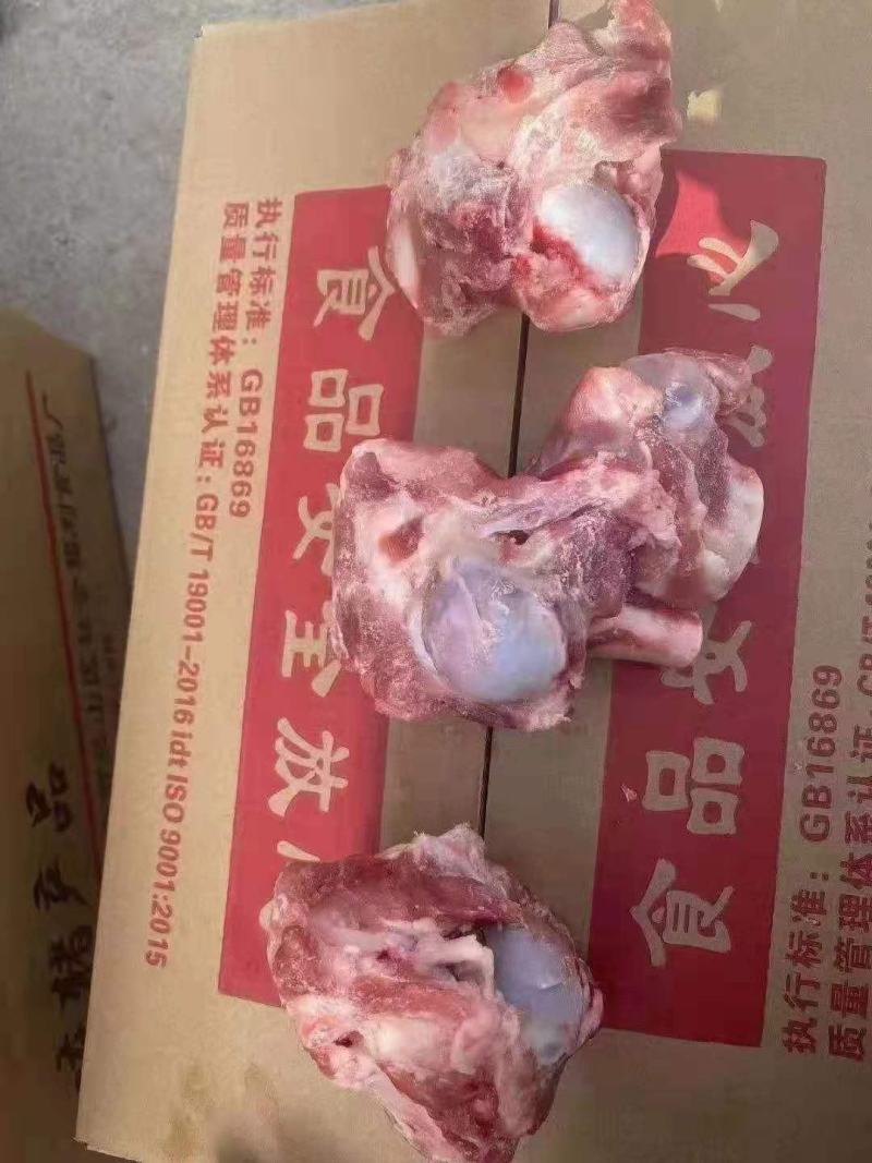 前棒骨！前棒骨！！！