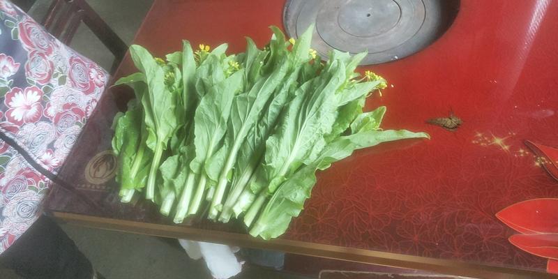 白菜苔，量不大几千斤，要的联糸