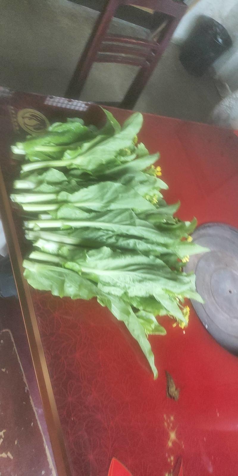 白菜苔，量不大几千斤，要的联糸